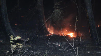 Kocaeli'de yaklaşık 15 dönümlük ormanlık alan yandı!