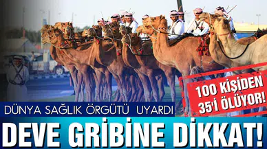 Dünya Sağlık Örgütü uyardı: Deve gribi virüsüne dikkat