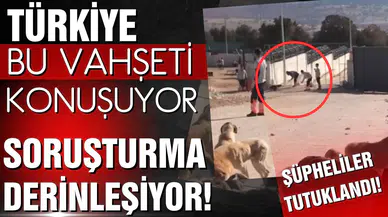 Türkiye bu vahşeti konuşuyor! Soruşturma derinleşiyor!
