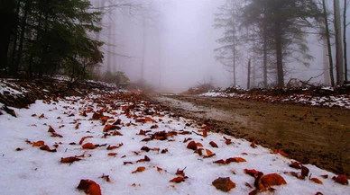 Kazdağları'nın yüksek kesimleri kar yağışıyla beyaza büründü