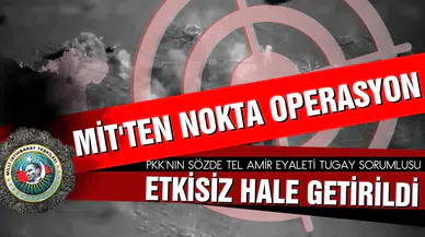 MİT'ten nokta operasyon! PKK/YPG'nin sözde sorumlusu etkisiz!