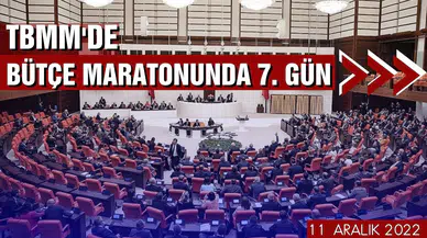 TBMM'de bütçe maratonunda 7. gün