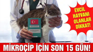 Ev hayvanlarına dijital kimlik uygulamasında son 15 gün!