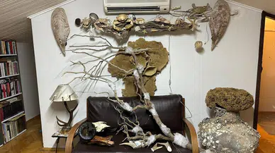 İstanbul'da koruma altındaki yaban hayvanlarına ait parçalar ele geçirildi