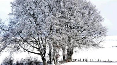 Amasya'nın yüksek kesimlerinde kar etkili oldu