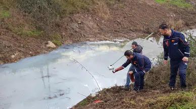 Kocaeli'de atık suların karıştığı Kiraz Deresi'nin rengi değişti