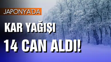 Japonya'da kar yağışı 14 can aldı