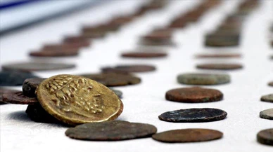 Ordu'da 293 sikke ele geçirildi