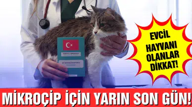 Ev hayvanlarının dijital kimliklendirilmesinde yarın son gün