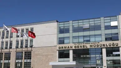 Orman Genel Müdürlüğü 109 sözleşmeli personel alacak