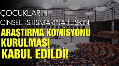 Cinsel istismar suçları araştırması kabul edildi!
