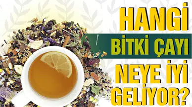 Hangi bitki çayı, neye yarar?