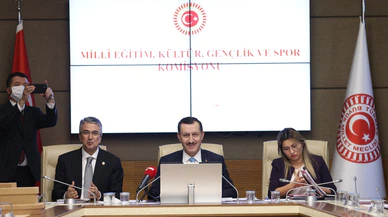 Türk Arkeoloji ve Kültürel Miras Vakfı, komisyondan geçti!