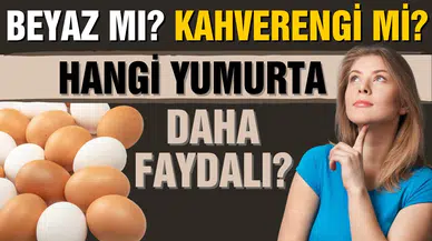 Beyaz mı, kahverengi mi? Hangi yumurta daha faydalı?
