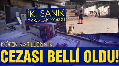 Köpek katillerinin cezası belli oldu!