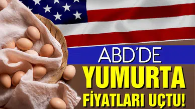 ABD'de kuş gribi krizi! Yumurta fiyatları uçtu!
