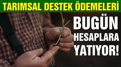 Tarımsal destek ödemeleri bugün hesaplara yatıyor!