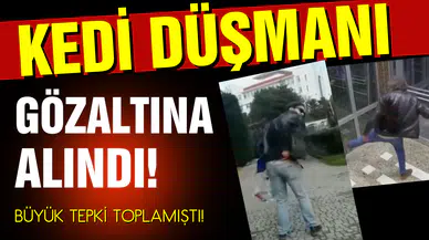 Büyük tepki çeken kedi düşmanı gözaltına alındı!