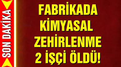 Fabrikada kimyasal zehirlenme: 2 işçi öldü!