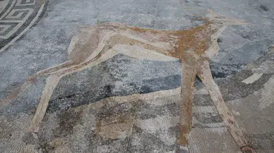 Guinness'e giren "Ortak Varoluş Mozaiği" iki dalda daha rekora aday