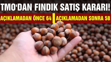 TMO fındık satacağını açıklayınca serbest piyasada 64 TL'den satılan fındık 61 TL'ye düştü!