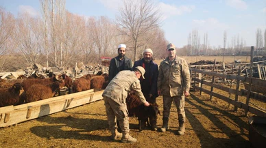 Kars ve Iğdır'da vatandaşlar deprem bölgesine et yardımında bulundu
