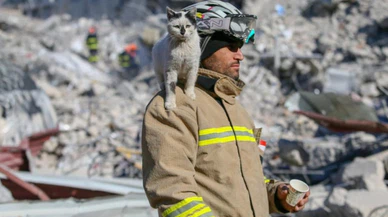 Göçükten çıkarılarak "Enkaz" adı verilen kedi, arama kurtarma ekibinin maskotu oldu