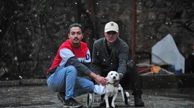 Ormanlık alanda bulduğu felçli köpeğe tesisat borularıyla yürüteç yaptı