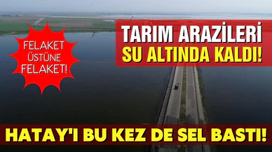 Hatay'da felaket üstüne felaket! Depremden sonra arazileri sel bastı