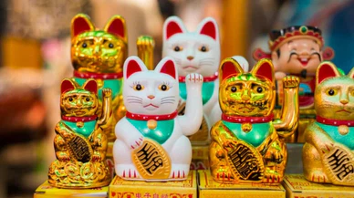 Japonya Kedi Günü kutlamaları başladı