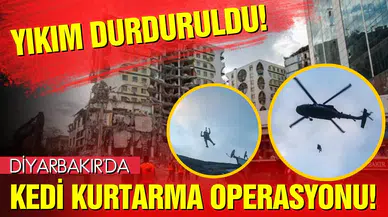Yıkım durduruldu, helikopterle kedi kurtarma operasyonu başlatıldı!