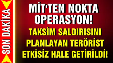 MİT'ten nokta operasyon!