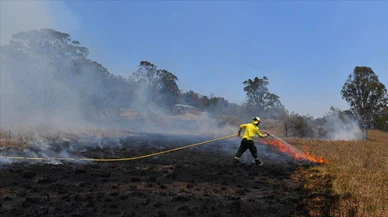 Avustralya'da 2 bin hektar alan yandı!
