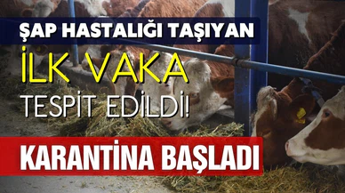 Şap hastalığı taşıyan ilk vaka tespit edildi! Karantina başladı