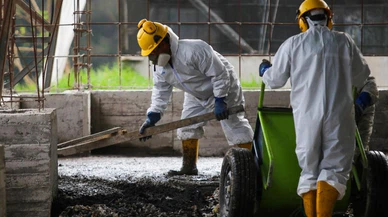 Ekvador’da ele geçirilen kokain, betona dönüştürülüyor