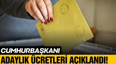 YSK Başkanı Cumhurbaşkanı adaylık ücretlerini açıkladı
