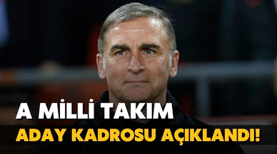 A Milli Takım'ın aday kadrosu belli oldu!