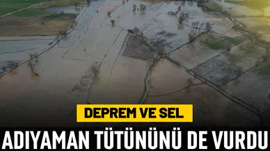Deprem ve sel Adıyaman tütününü de vurdu! Tarım arazileri havadan görüntülendi!