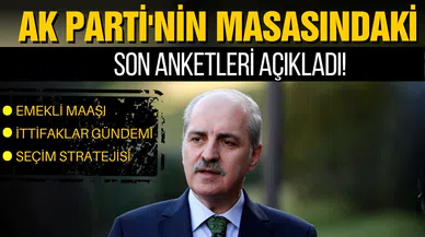 Numan Kurtulmuş, AK Parti'nin masasındaki son anketleri açıkladı