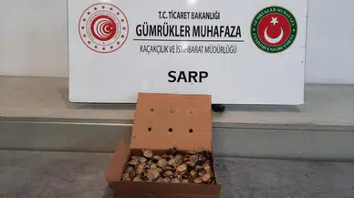 Su kaplumbağası kaçakçılığı!