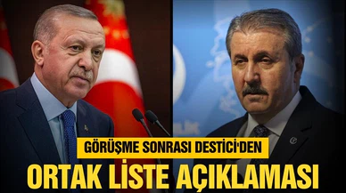 Cumhurbaşkanı Erdoğan, Destici ile görüştü