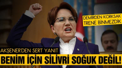 Akşener'den Erdoğan'a sert yanıt!