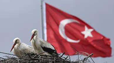 Leylek apartmanı sakinleri yuvalarına geldi