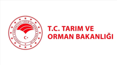Tarım ve Orman Bakanlığı barajların doluluk oranını açıkladı