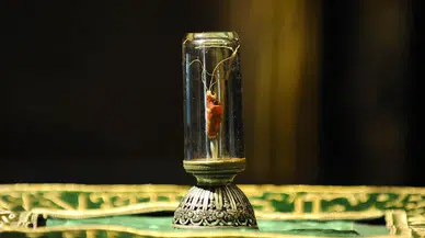 Şanlıurfa'da Sakal-ı Şerif ziyarete açıldı!