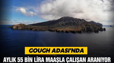 Gough Adası’nda aylık 55 bin liraya çalışan aranıyor