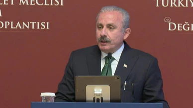 Şentop'tan sanatçı Nuri Sesigüzel için taziye mesajı