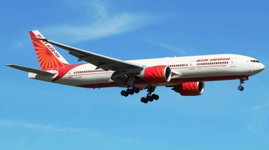 Uçaktaki yolcuyu akrep soktu!