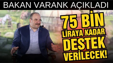 Bakan Varank: "75 bin liraya kadar destek verilecek"