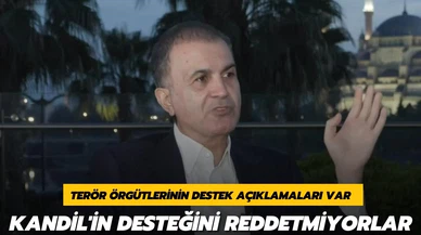 Çelik, "Kandil'in desteğini reddetmiyorlar"